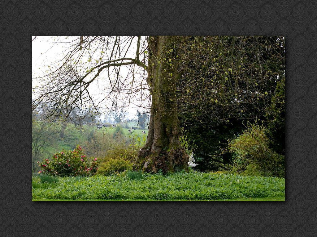 Bed and Breakfast Langrish House Petersfield Exterior foto